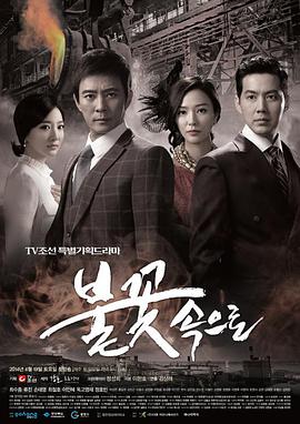 九龙坡网络seo优化排名公司